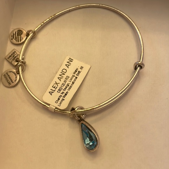 Nwts Alex and Ani clarity by design living water silver charm bracelet expands - Picture 1 of 5